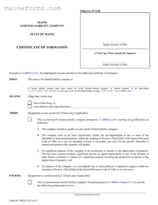 Mllc 6 Template